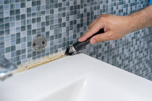 Reliable White House Station, NJ Mold Removal Solutions