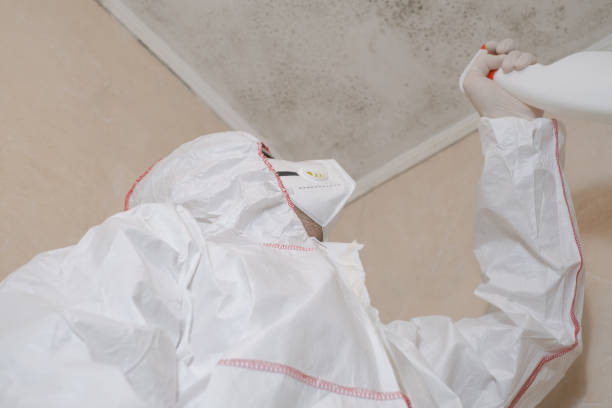 Office Mold Removal Services in White House Station, NJ