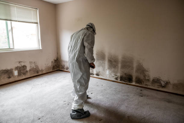 Best Crawl Space Mold Removal  in White House Station, NJ
