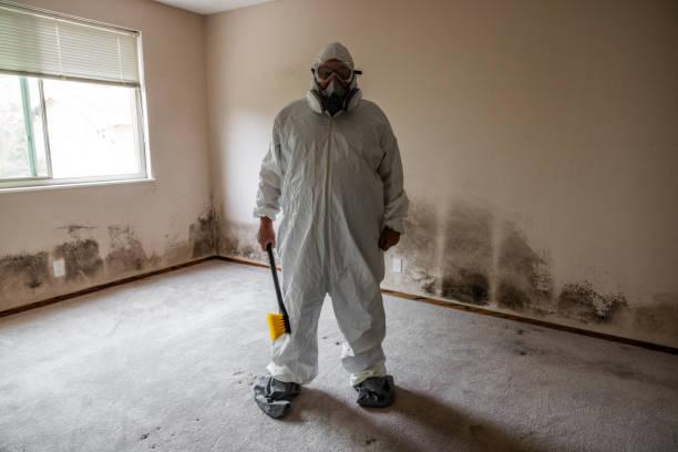 Best Attic Mold Removal  in White House Station, NJ