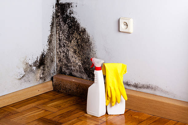 Water Damage Restoration in White House Station, NJ